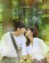 Drama Korea Forest Sub Indo