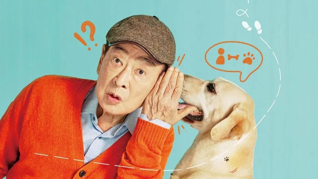 Nonton Dog Knows Everything Subtitle Indonesia